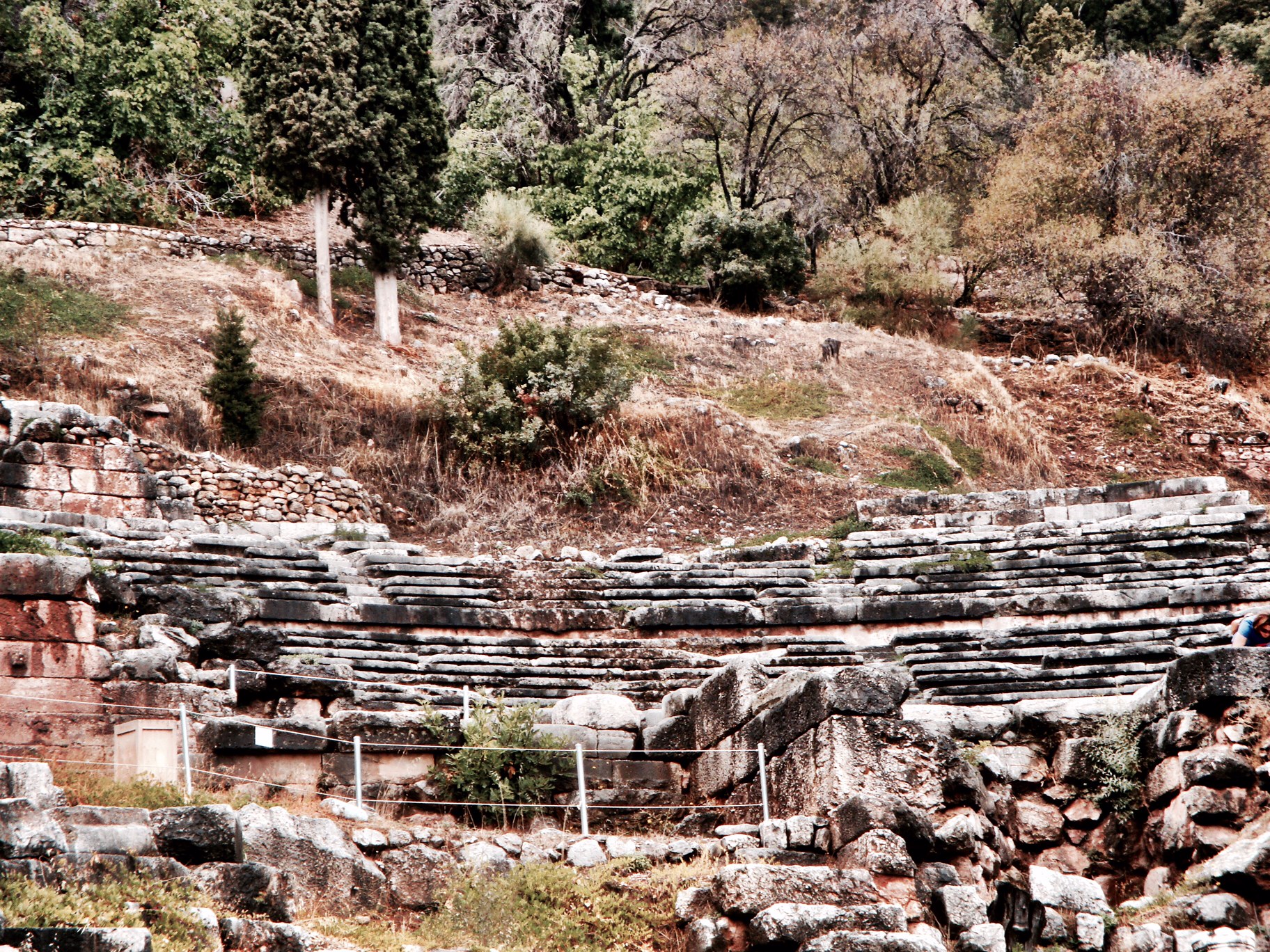 Delphi: In search of the Oracle, and Olive Oil